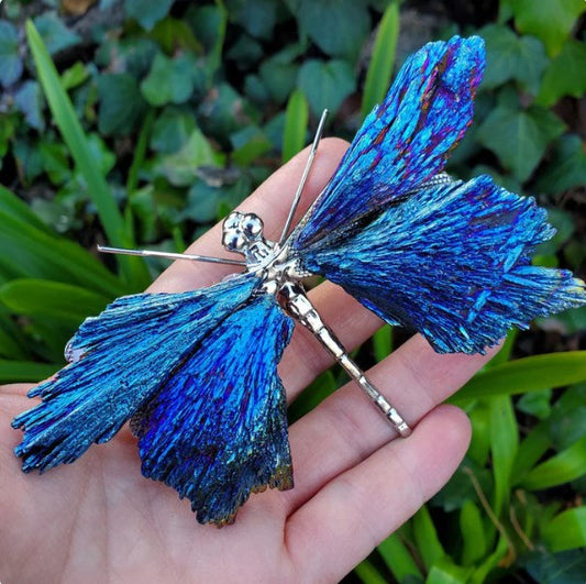 💥AURA TOURMALINE KYANITE DRAGONFLY💥