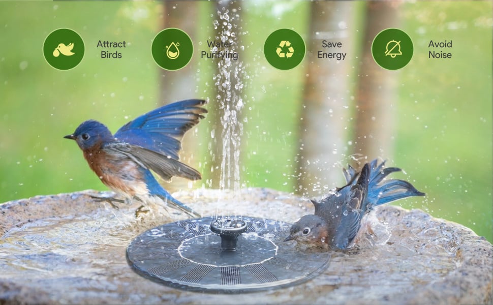 Solar-Powered Bird Fountain Kit