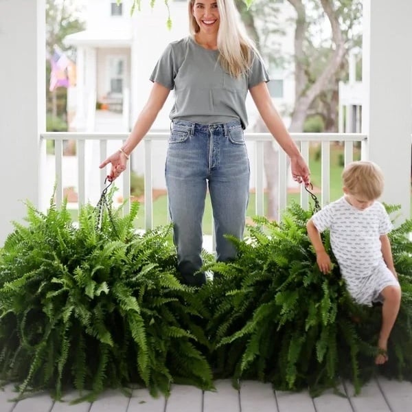 ✨This Week's Special Price $19.99💥UV Resistant Lifelike Artificial Boston Fern