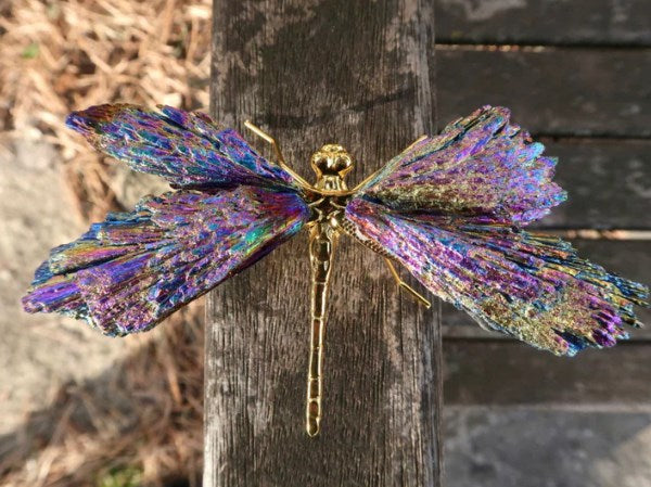 💥AURA TOURMALINE KYANITE DRAGONFLY💥