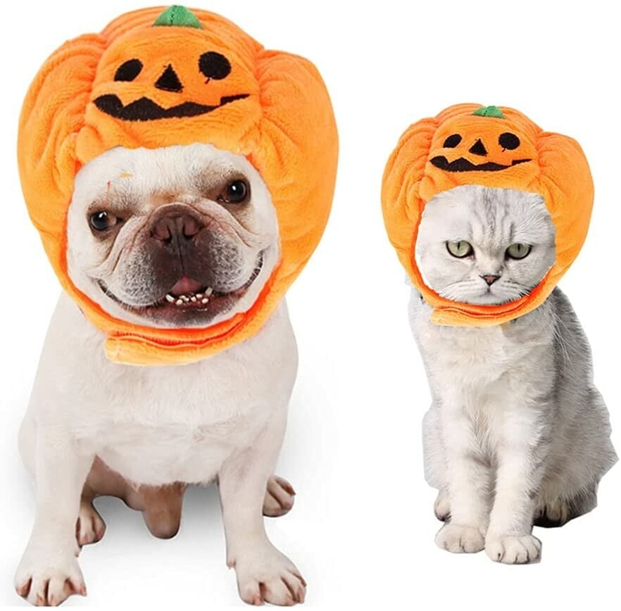 🎃Halloween Early Sale🧛Adjustable Pet Pumpkin Hat🐶