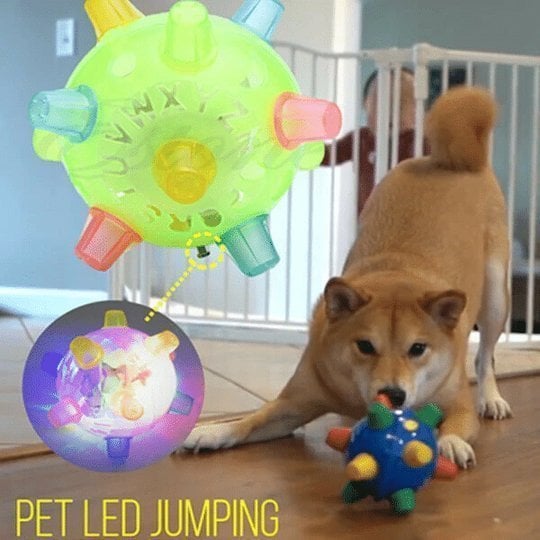 💥Spring Sale💥Jumping activation ball for dogs and cats