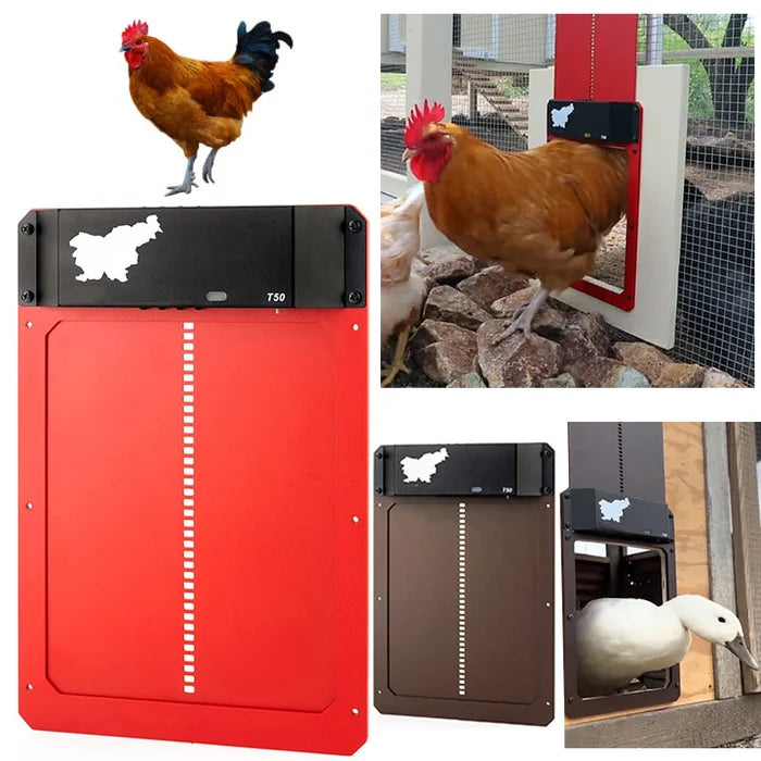 🎉Automatic Chicken Coop Door 2