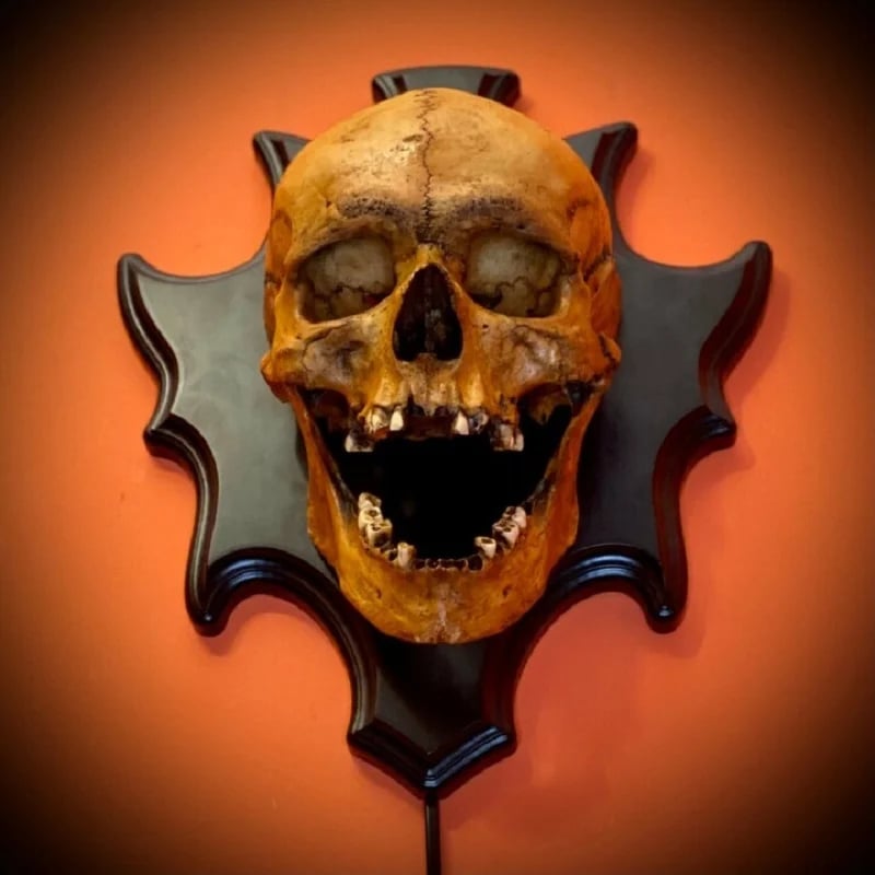 💥💀Skull lamp“Singing head”night light