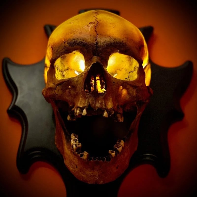 💥💀Skull lamp“Singing head”night light