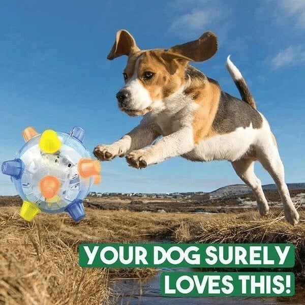 💥Spring Sale💥Jumping activation ball for dogs and cats