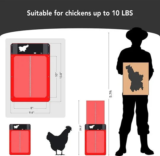 🎉Automatic Chicken Coop Door 2