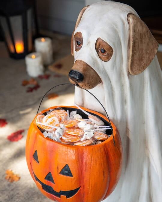 GHOST DOG CANDY BOWL