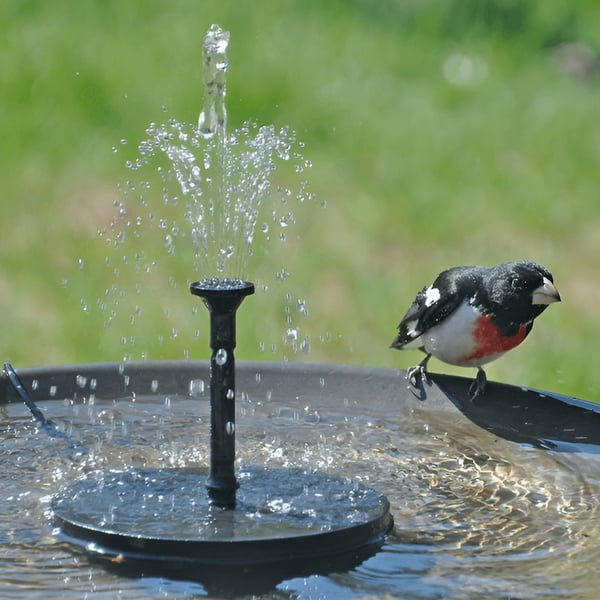 Solar-Powered Bird Fountain Kit