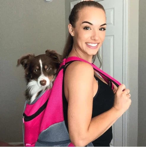 🔥2024 Summer Dog Backpack🐶