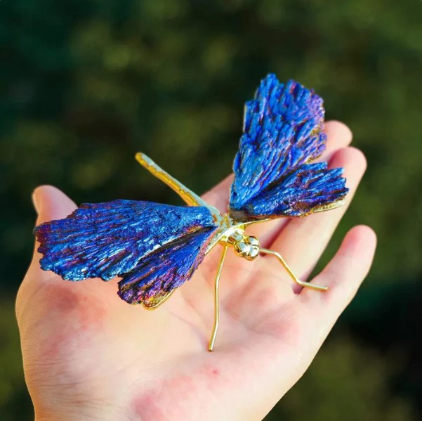 💥AURA TOURMALINE KYANITE DRAGONFLY💥