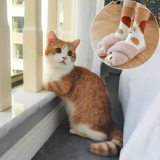 Cat Claws Cute Thick Warm Sleep Floor Socks