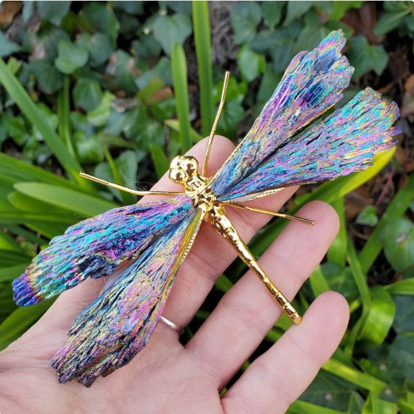 💥AURA TOURMALINE KYANITE DRAGONFLY💥