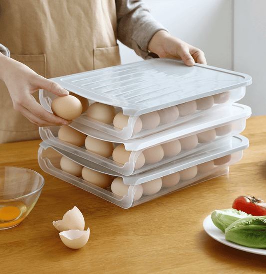 Egg Storage Box-Simple Style