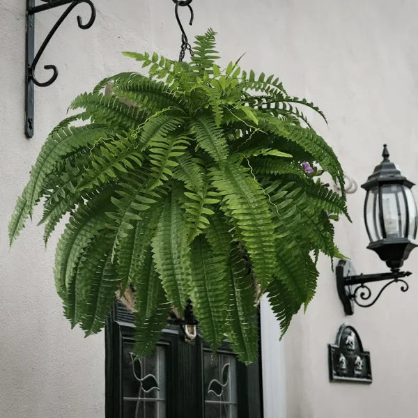 💥This Week's Special Price $19.99🌱UV Resistant Lifelike Artificial Boston Fern