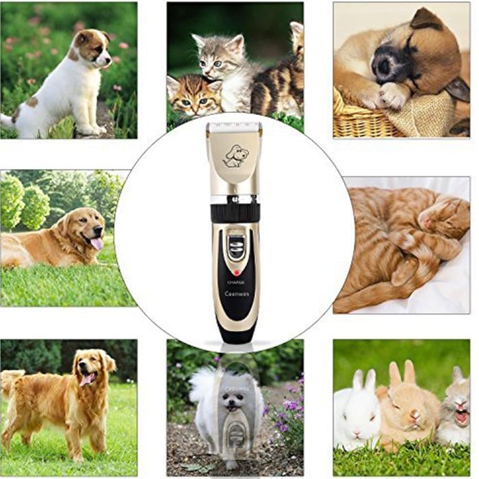 🔥BUY 2 FREE SHIPPING🔥 Low Noise Pet Clippers Rechargeable