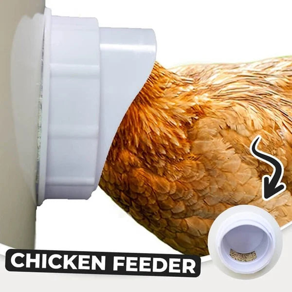 (🔥2023 NEW-50% OFF)DIY Chicken Feeder