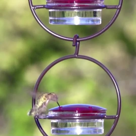 Hummble Slim Hummingbird Feeder