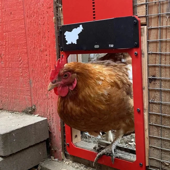 🎉Automatic Chicken Coop Door 2