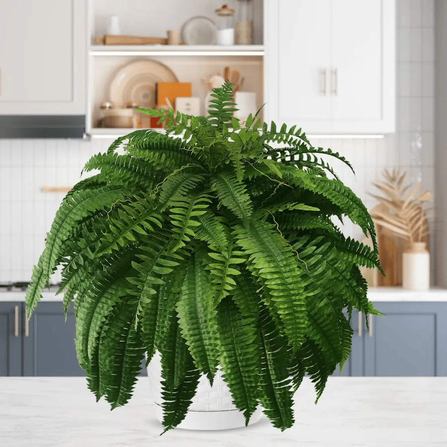 ✨This Week's Special Price $19.99💥UV Resistant Lifelike Artificial Boston Fern