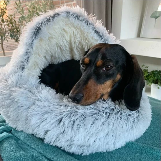 🐶CozyCave😺 - Premium Pet Bed