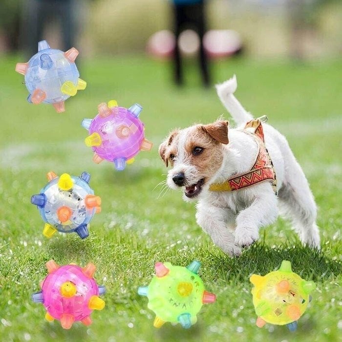 💥Spring Sale💥Jumping activation ball for dogs and cats