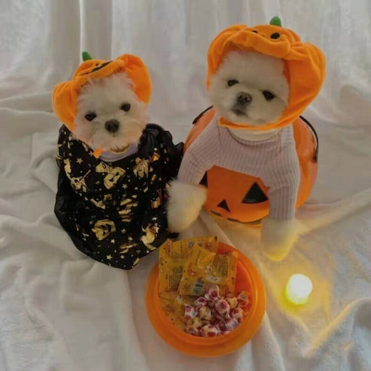 🎃Halloween Early Sale🧛Adjustable Pet Pumpkin Hat🐶