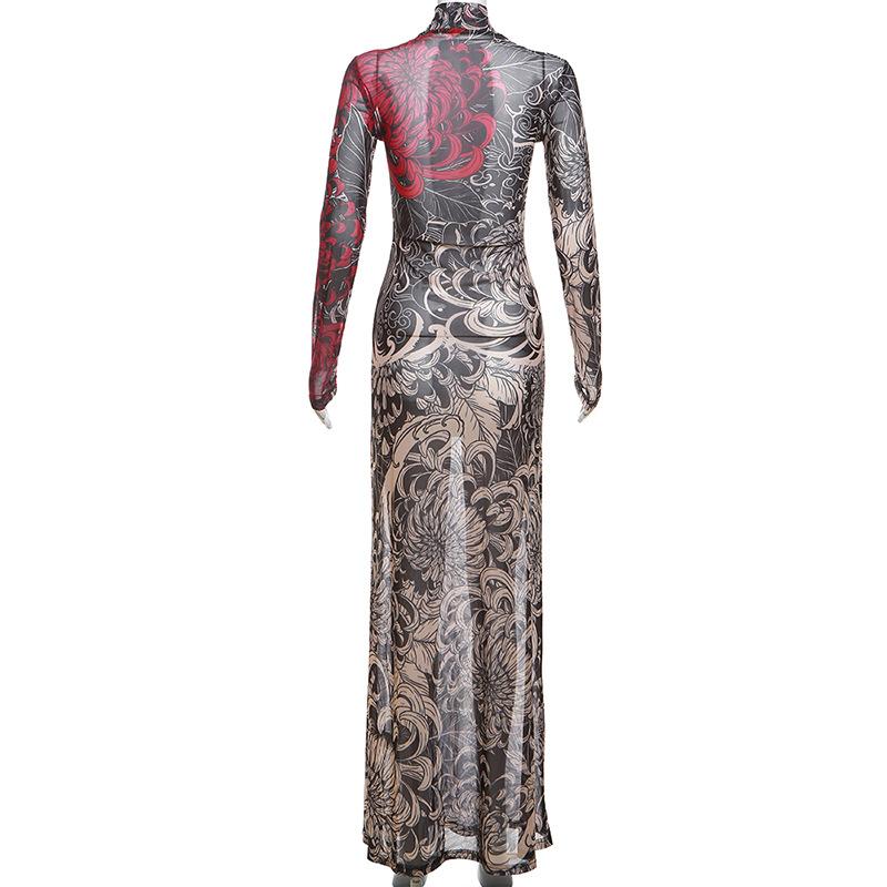 Long sleeve high neck print sheer mesh maxi dress