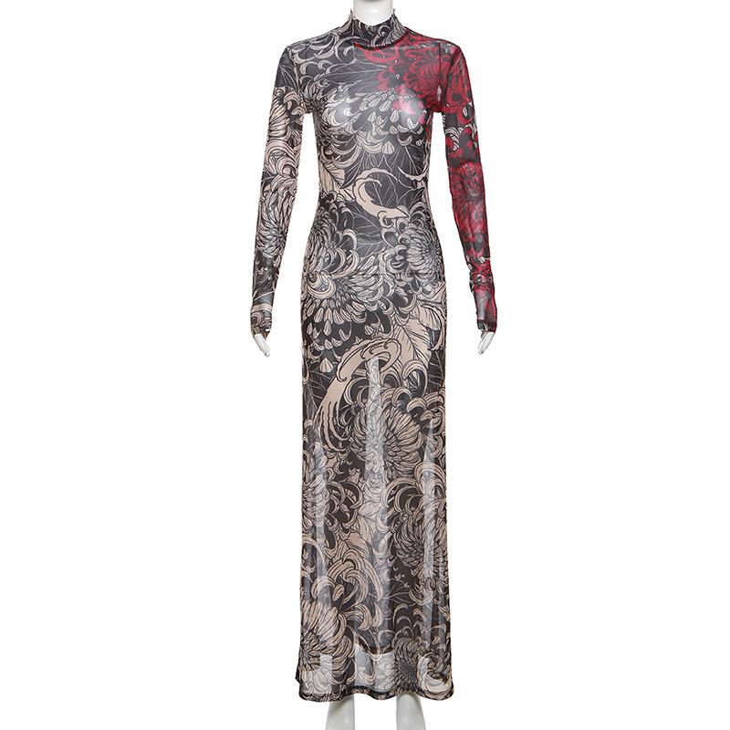 Long sleeve high neck print sheer mesh maxi dress